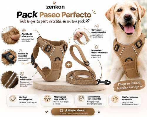 Pack Paseo Seguro